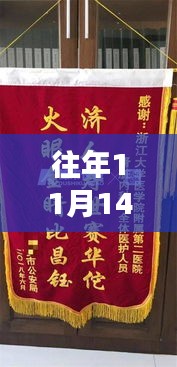 2024年11月14日 第8页