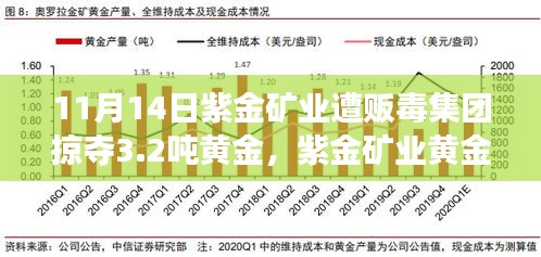 紫金矿业黄金遭贩毒集团掠夺事件深度剖析，责任、影响与未来展望，损失达3.2吨黄金事件回顾与反思