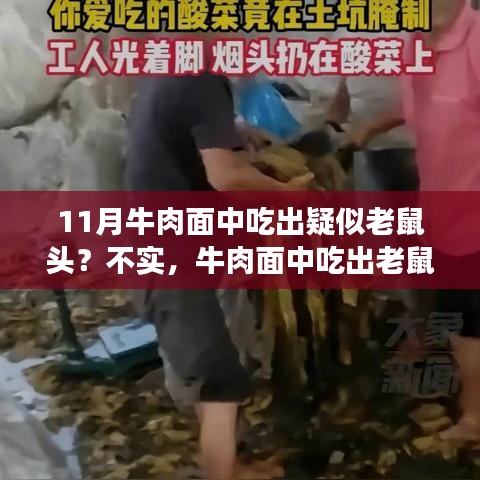 牛肉面中的老鼠头真相揭秘，不实传闻与谣言的终结之旅