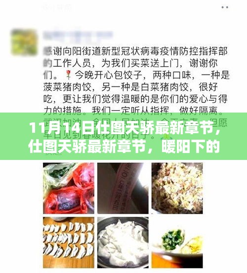 仕图天骄，暖阳下的友情日常与家的温馨时光（最新章节）