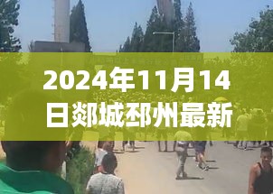 2024年11月14日郯城邳州发展动态，多元观点下的深度探析