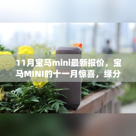 宝马MINI 11月惊喜报价，缘分之旅，家的温馨之选