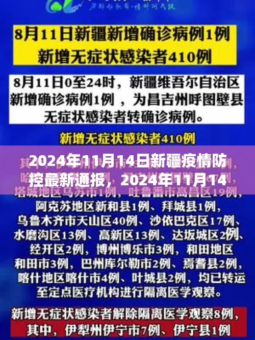 2024年11月14日新疆疫情防控最新通报，全面解析与案例分享