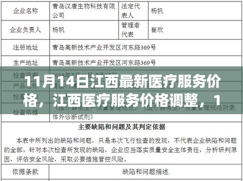 江西医疗服务价格调整深度洞察，最新价格动态及影响分析（11月14日）