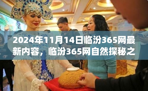 临汾365网自然探秘之旅，心灵宁静的奇妙之旅（最新内容）