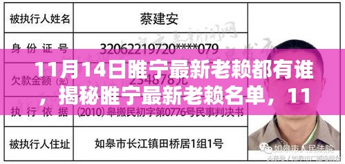 揭秘睢宁最新失信人员名单，11月14日老赖名单解析与查找步骤指南