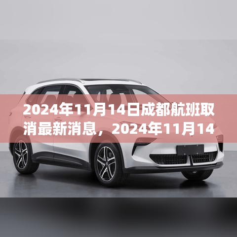 2024年11月14日成都航班取消最新消息及深度分析与应对建议