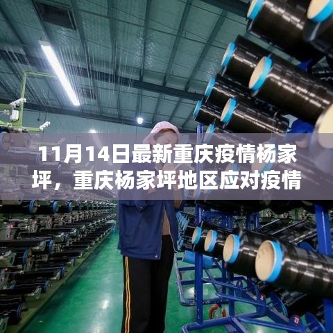 重庆杨家坪地区防疫指南，最新防疫步骤详解与应对疫情的最新动态（11月14日更新）