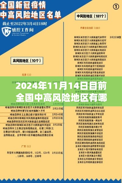 2024年11月14日全国中高风险地区最新动态及应对策略揭秘，观察与评测报告