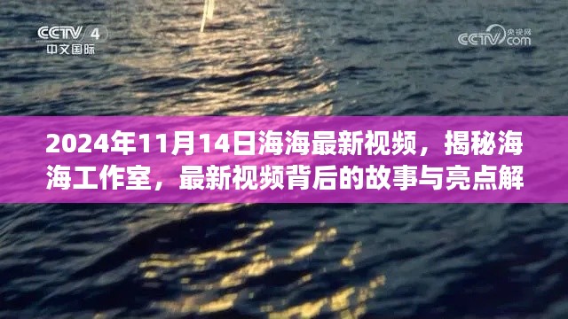 揭秘海海工作室，最新视频故事与亮点解析（2024年11月版）