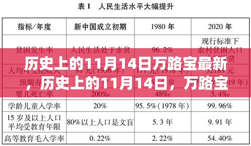 2024年11月15日 第15页