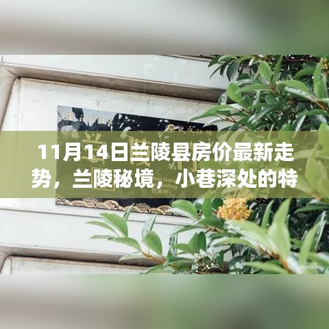 兰陵县房价最新走势揭秘，秘境小巷的特色小店与房价探秘之旅