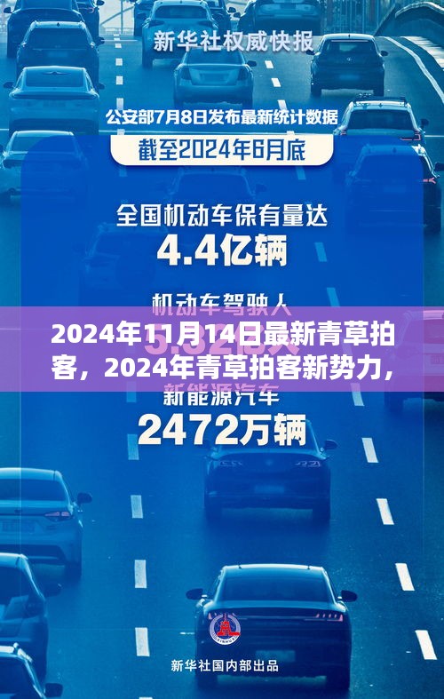 2024青草拍客新势力，探索前沿拍摄技巧与行业最新动态