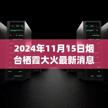 深度解析与现场观察，2024年11月15日烟台栖霞大火最新进展与消息