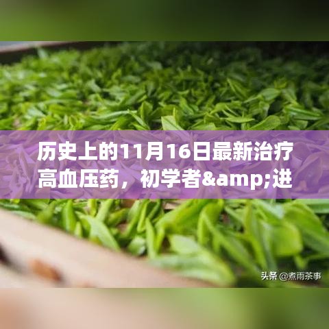 历史上的11月16日，高血压药物的新探索——适合初学者与进阶用户的全方位指南