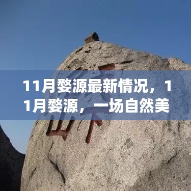 11月婺源美景之旅，探寻自然之心，远离尘嚣的宁静之乐