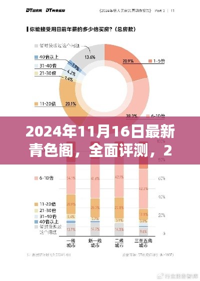 2024年最新青色阁全面评测，特性、体验、竞品对比及用户群体深度分析