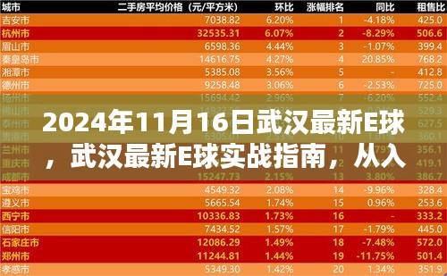 武汉最新E球实战指南，全方位步骤教程（入门到精通，附最新资讯）
