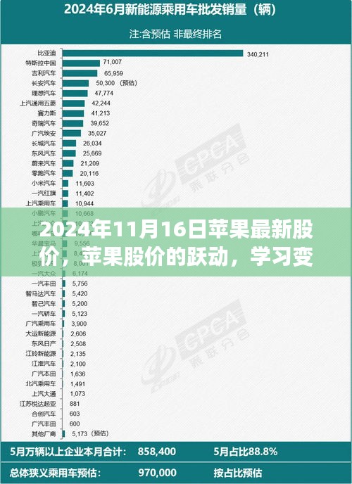 苹果股价跃动学习变化，自信成就未来，最新股价动态（2024年11月16日）