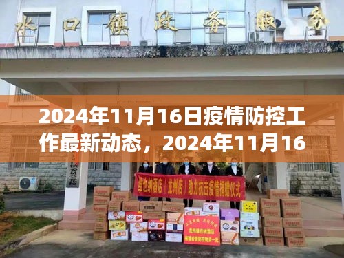 多维度视角下的深度解析与观点碰撞，2024年11月16日疫情防控工作最新动态