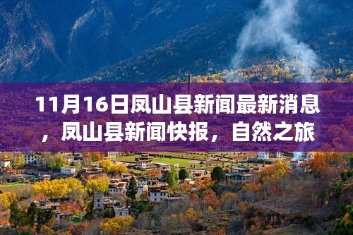 凤山县新闻快报，自然之旅启程，探寻心灵净土的最新消息（11月16日）