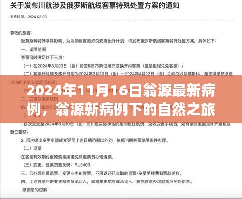 翁源新病例下的自然之旅，探寻内心宁静与微笑的旅程（2024年11月16日）