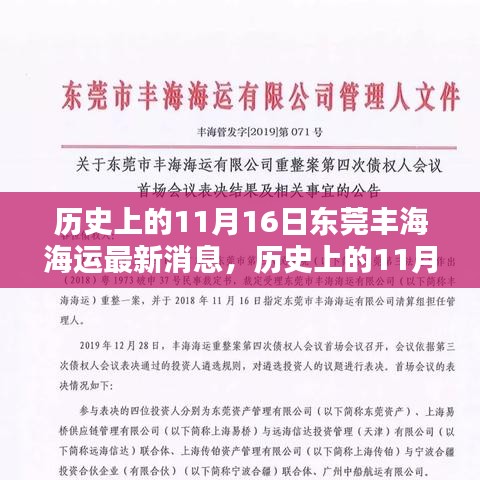 历史上的11月16日东莞丰海海运最新消息深度解读与评测报告