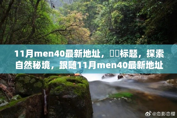 探索自然秘境，跟随最新11月men40地址启程心灵之旅