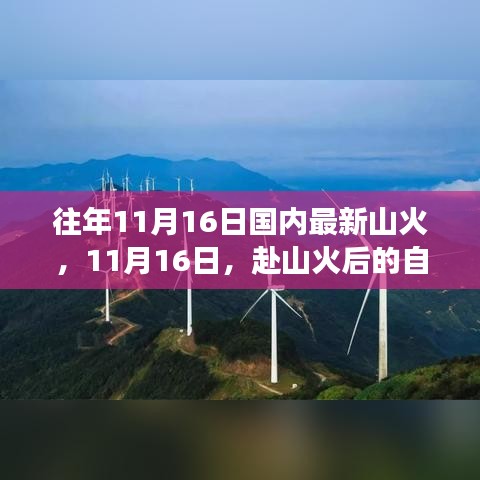 赴山火后的自然秘境探寻之旅，寻找内心平静的壮丽之旅 11月16日纪实