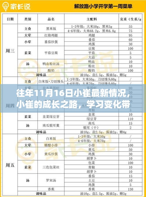 小崔的成长之路，学习变化带来的自信与成就感揭秘最新动态（往年11月16日）