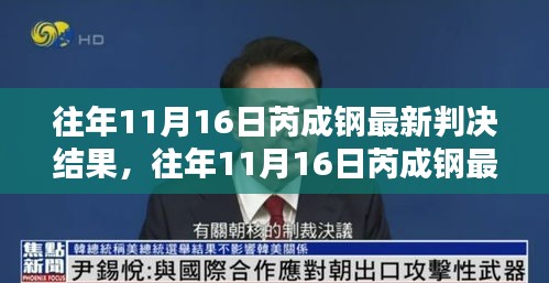 芮成钢最新判决结果深度解析与案例分析，历年案例分析对比与反思