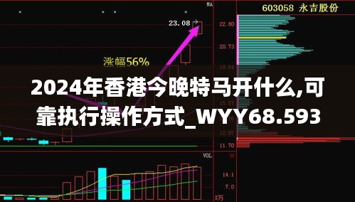 2024年香港今晚特马开什么,可靠执行操作方式_WYY68.593定制版