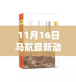 马航最新动态回顾，历史脉络、重大事件与深远影响解析（11月16日更新）