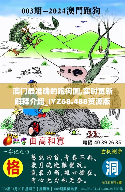 澳门最准确的跑狗图,实时更新解释介绍_IYZ68.488资源版