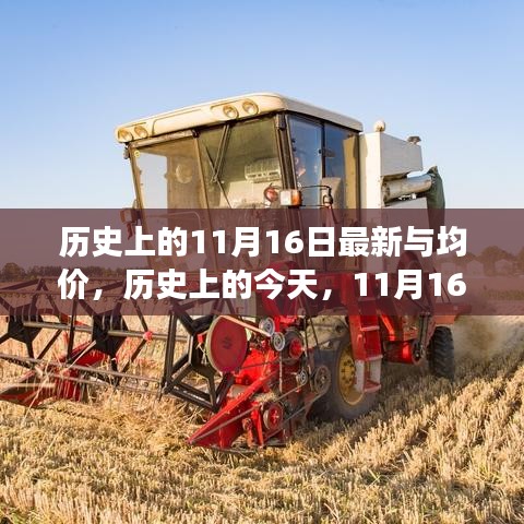 历史上的今天，揭秘11月16日的变迁与成就之源，探寻自信与学习的力量之路