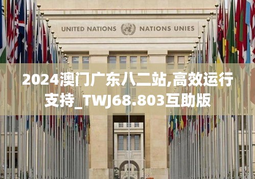 2024澳门广东八二站,高效运行支持_TWJ68.803互助版