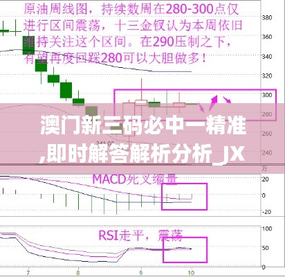 澳门新三码必中一精准,即时解答解析分析_JXP68.689创意版