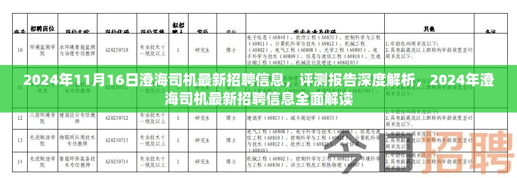 深度解析，2024年澄海司机最新招聘信息全面解读与评测报告