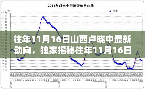 独家揭秘，山西卢晓中往年11月16日的最新动向与深度解析