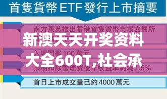 新澳天天开奖资料大全600T,社会承担实践战略_DDL68.382传递版