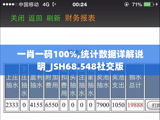 一肖一码100%,统计数据详解说明_JSH68.548社交版