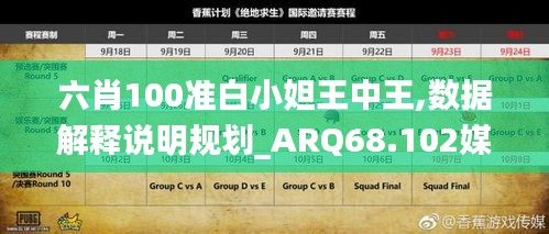 六肖100准白小妲王中王,数据解释说明规划_ARQ68.102媒体版