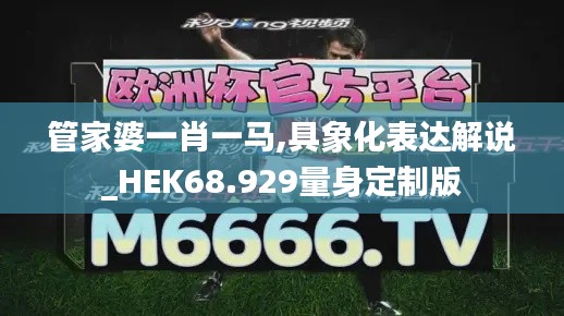 管家婆一肖一马,具象化表达解说_HEK68.929量身定制版