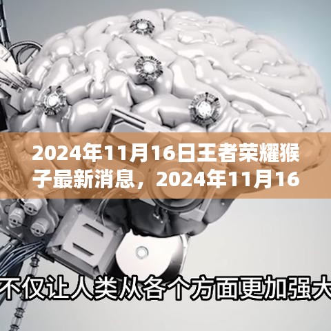 王者荣耀猴子最新动态解析，2024年11月16日全新更新消息