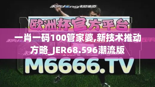 一肖一码100管家婆,新技术推动方略_JER68.596潮流版