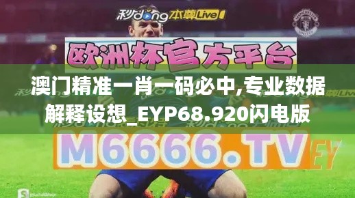 澳门精准一肖一码必中,专业数据解释设想_EYP68.920闪电版