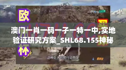 澳门一肖一码一孑一特一中,实地验证研究方案_SHL68.155神秘版