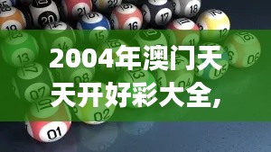 2004年澳门天天开好彩大全,高效性设计规划_BQY68.824通行证版