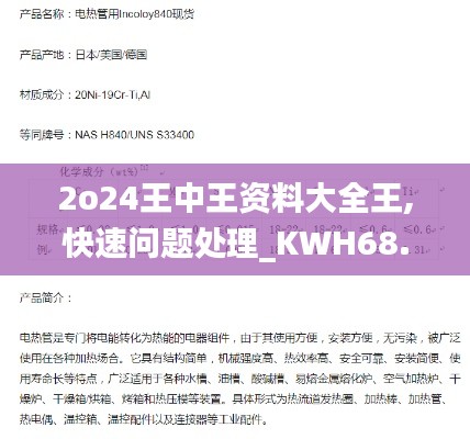 2o24王中王资料大全王,快速问题处理_KWH68.648品牌版