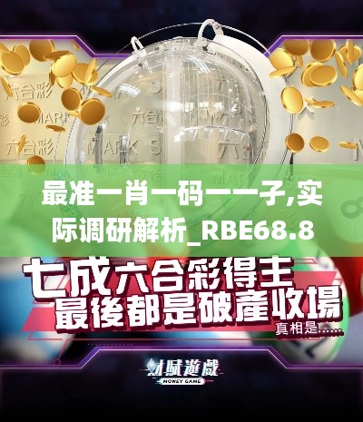 最准一肖一码一一孑,实际调研解析_RBE68.831精选版